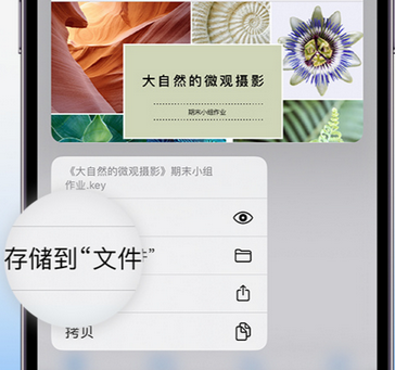 鱼台apple维修中心分享iPhone文件应用中存储和找到下载文件