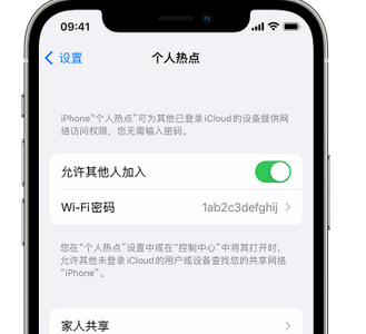 鱼台apple服务站点分享iPhone上个人热点丢失了怎么办 