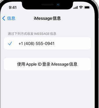 鱼台apple维修iPhone上无法正常发送iMessage信息 