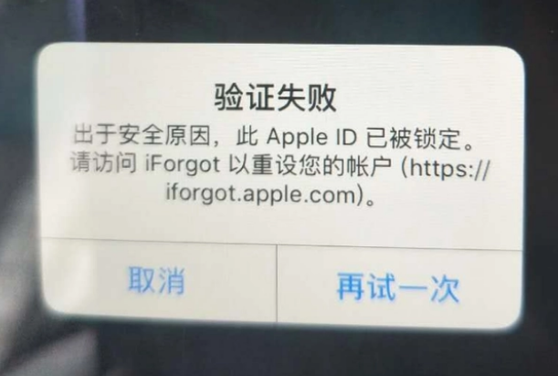 鱼台iPhone维修分享iPhone上正常登录或使用AppleID怎么办 