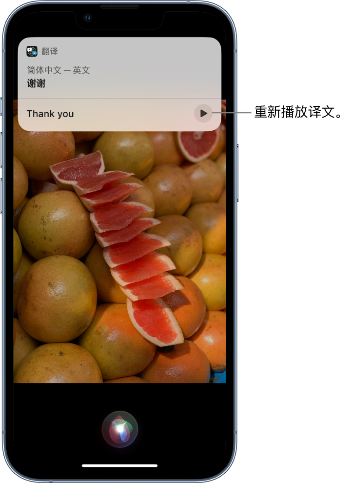 鱼台苹果14维修分享 iPhone 14 机型中使用 Siri：了解 Siri 能帮你做什么 