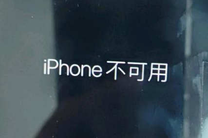 鱼台苹果服务网点分享锁屏界面显示“iPhone 不可用”如何解决 