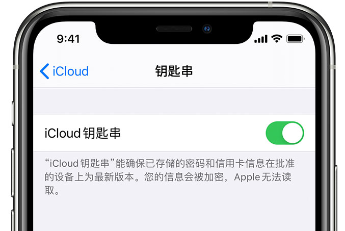 鱼台苹果手机维修分享在 iPhone 上开启 iCloud 钥匙串之后会储存哪些信息 