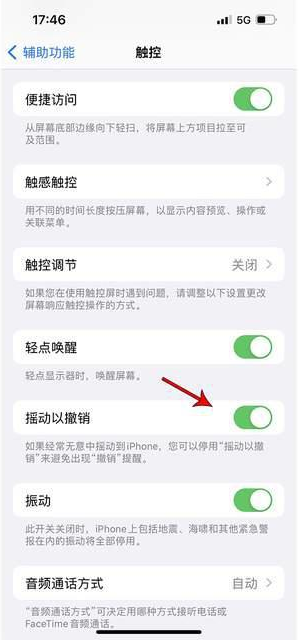 鱼台苹果手机维修分享iPhone手机如何设置摇一摇删除文字 