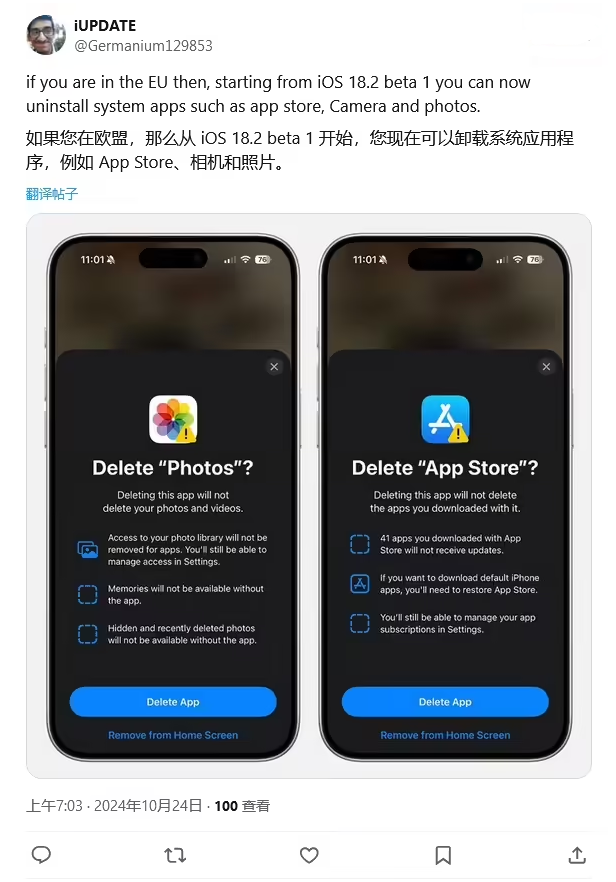 鱼台苹果手机维修分享iOS 18.2 支持删除 App Store 应用商店 