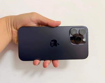 鱼台苹果维修点分享iPhone 14 Pro Max发烫多重诱因剖析 